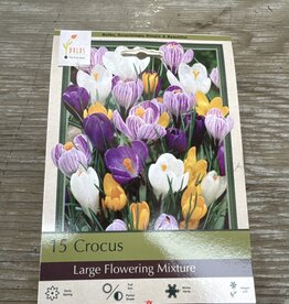 Netherland Bulb Company Crocus Large Flowering Mixture 15 /pack