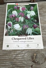 Netherland Bulb Company Fritillaria Meleagris (Chequered Lily Mixture) 12/pk