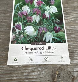 Netherland Bulb Company Fritillaria Meleagris (Chequered Lily Mixture) 12/pk