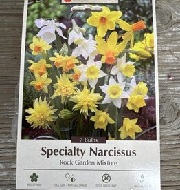 Netherland Bulb Company Narcissus Rockgarden Mixture 7/pk