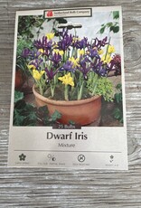 Netherland Bulb Company Iris (Specie) Dwarf Iris Mixture 15 /pack