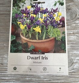 Netherland Bulb Company Iris (Specie) Dwarf Iris Mixture 15 /pack