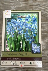 Netherland Bulb Company Scilla Siberian Squill 15 /pack