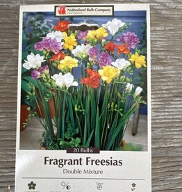 Netherland Bulb Company Freesia Double Mixture 20/pk