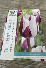 Netherland Bulb Company Tulip Rem's Favourite 8 /pack