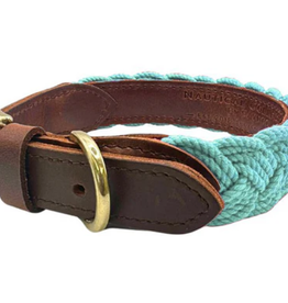 BayDog Seaside Collar