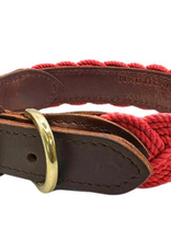 BayDog Seaside Collar