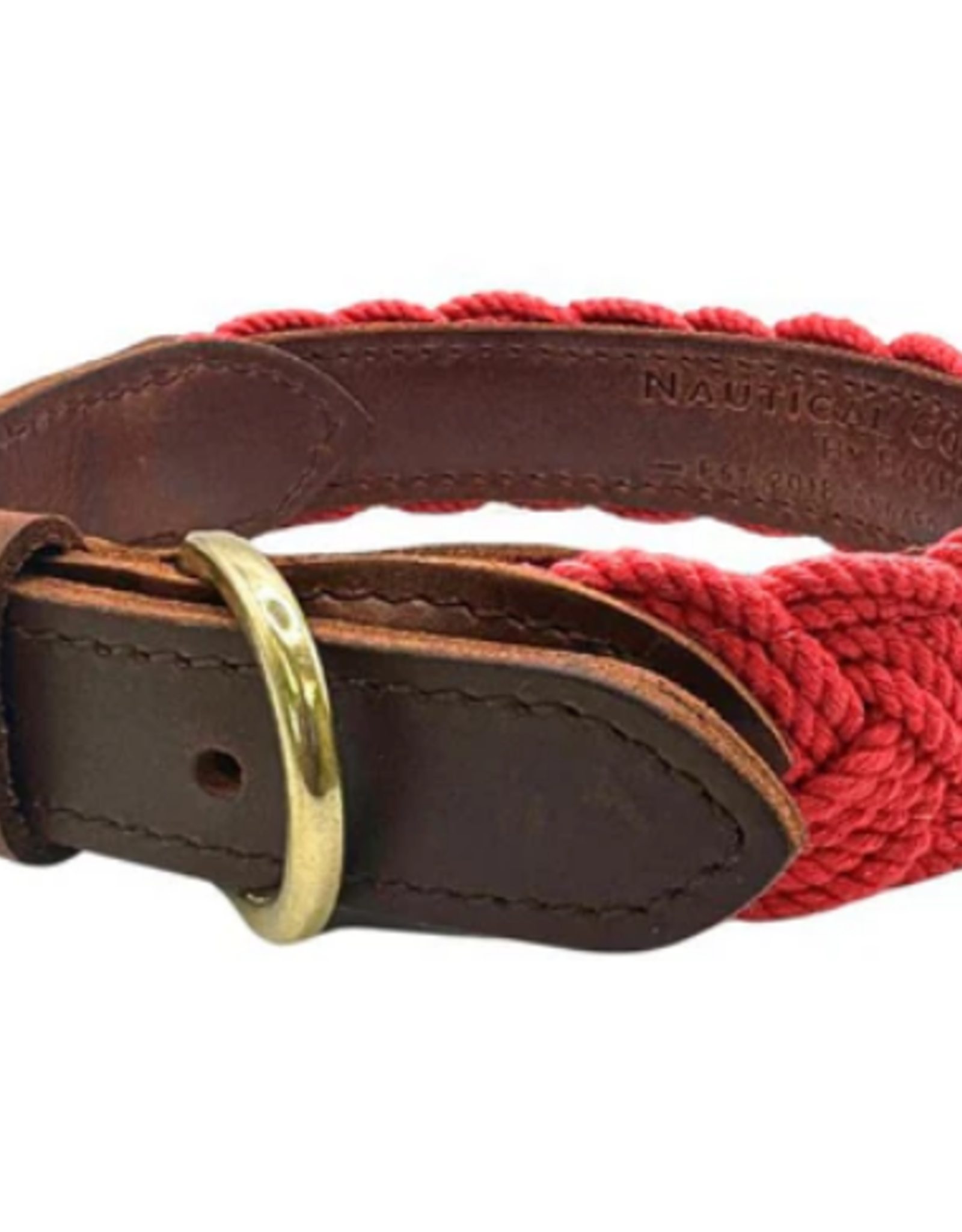 BayDog Seaside Collar