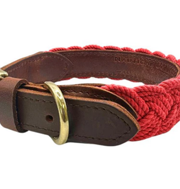 BayDog Seaside Collar