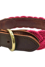 BayDog Seaside Collar