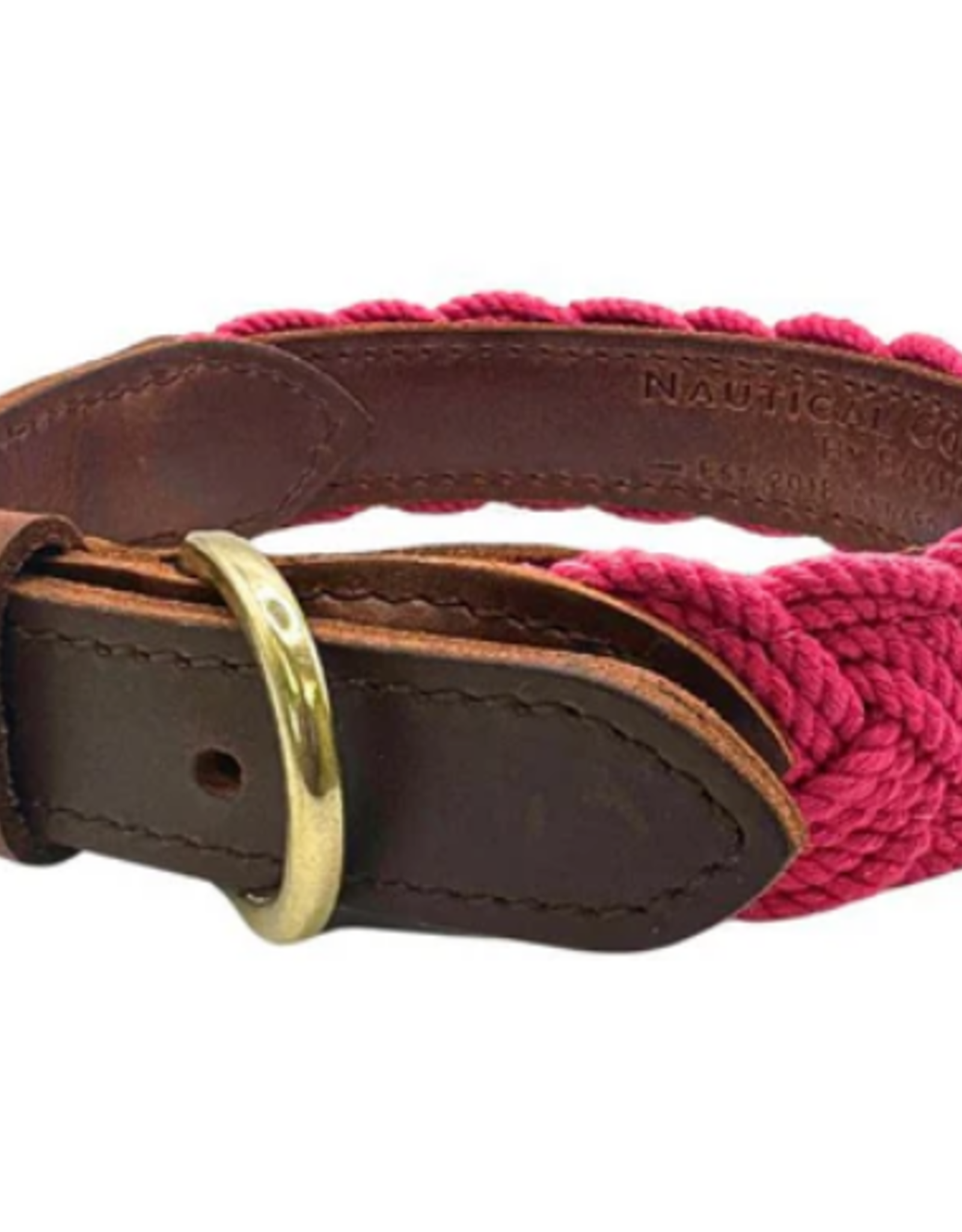 BayDog Seaside Collar