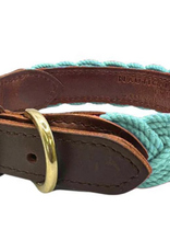 BayDog Seaside Collar