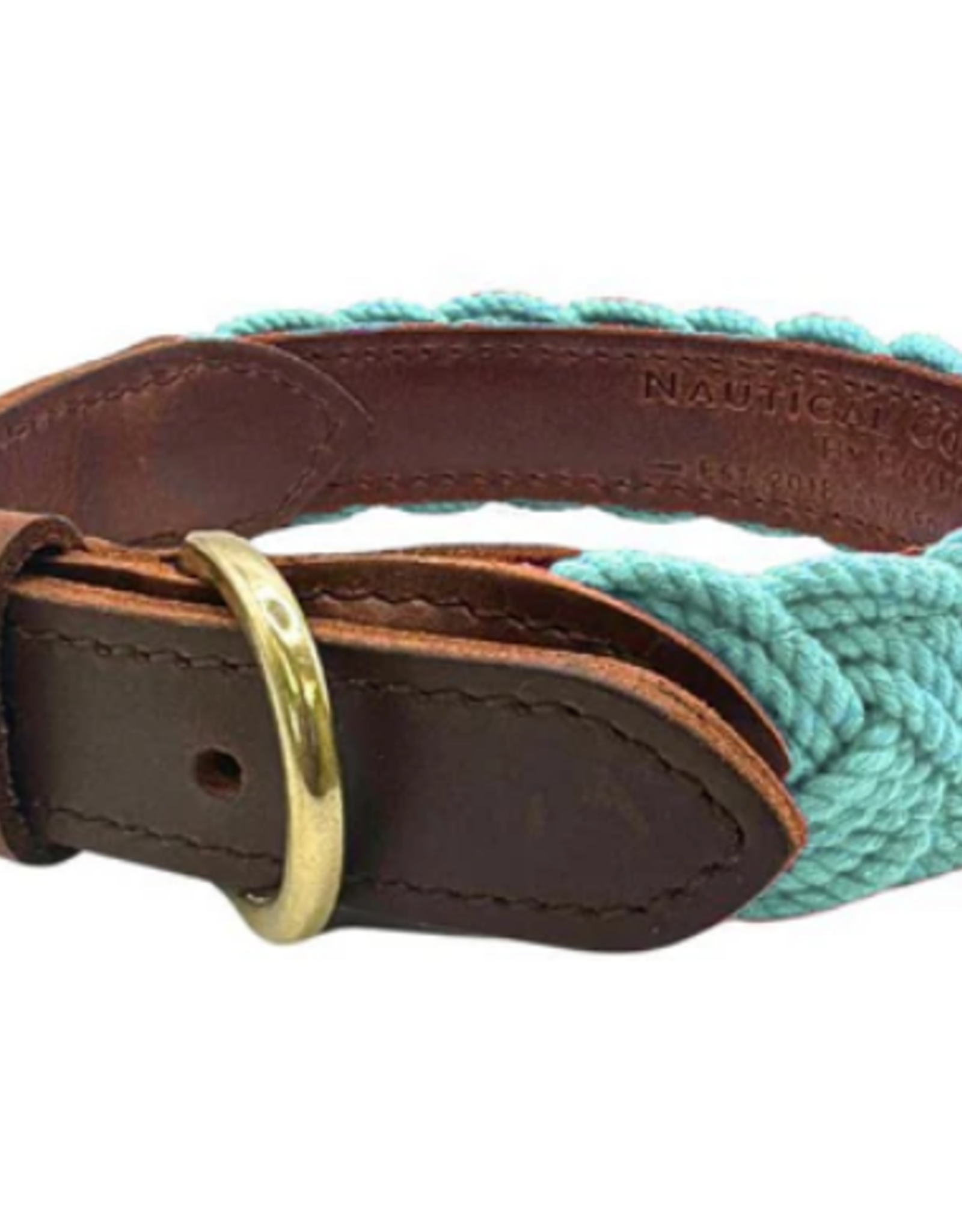 BayDog Seaside Collar