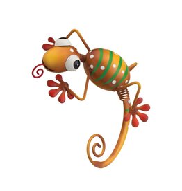 Pot Hugger Gecko