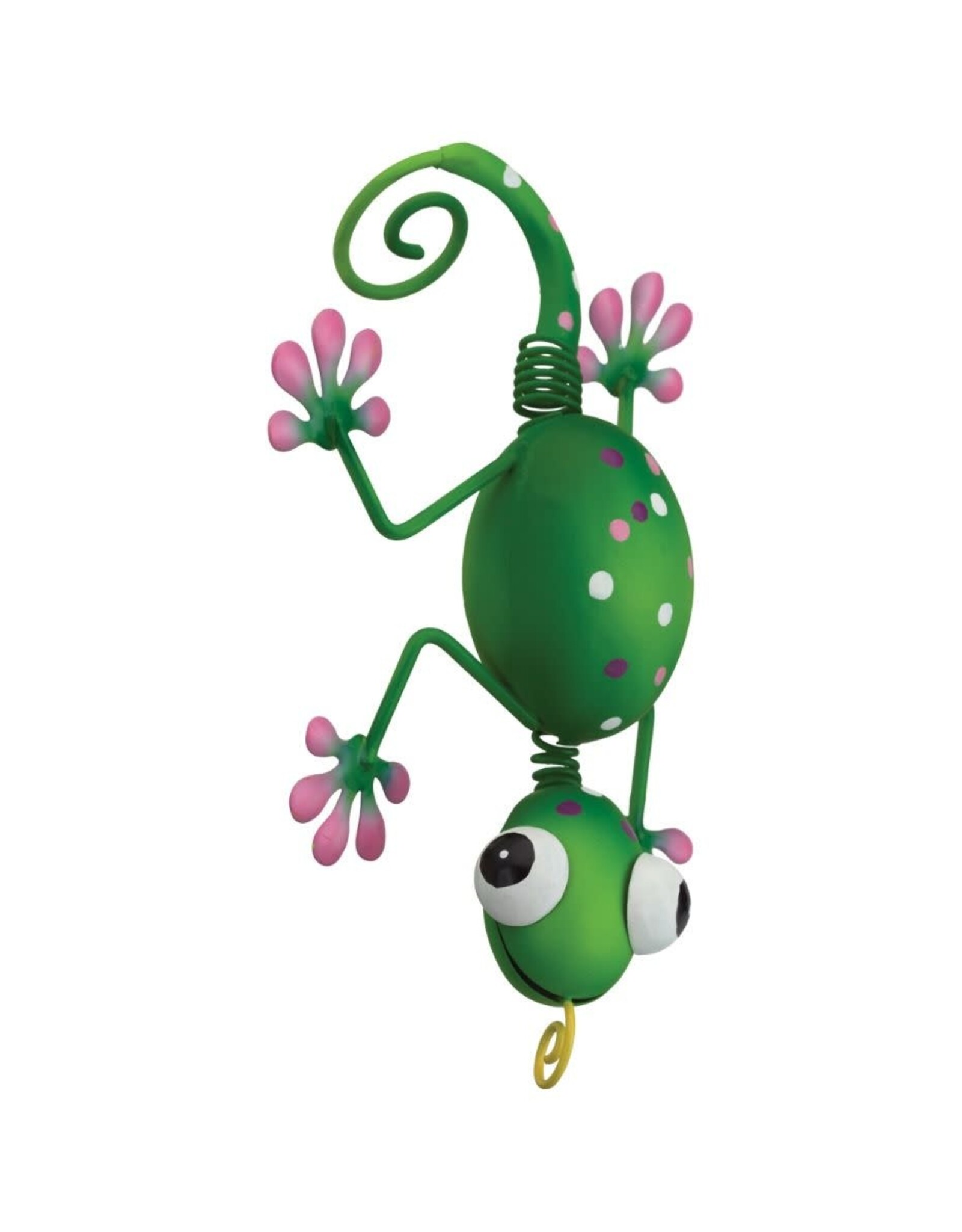 Pot Hugger Gecko