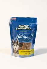 ARCTIC PAWS Yummy Chummies Gold Salmon Hip and Joint 4 oz
