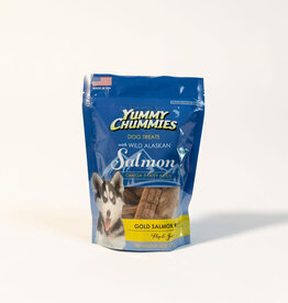 ARCTIC PAWS Yummy Chummies Gold Salmon Hip and Joint 4 oz