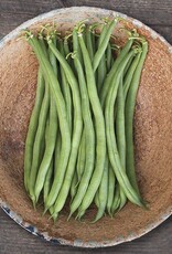 High Mowing Seed HM Jade Bush Bean  1 OZ