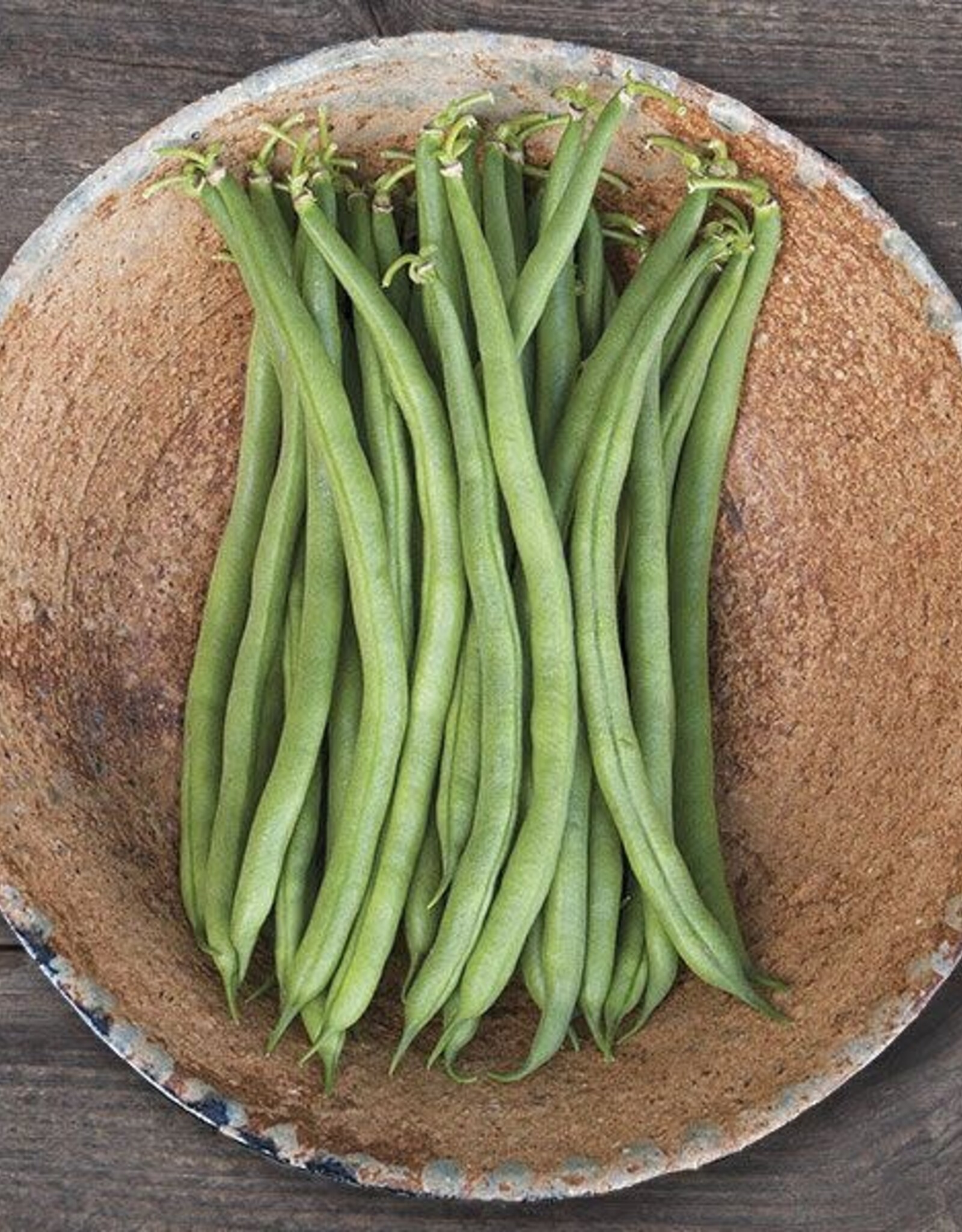 High Mowing Seed HM Jade Bush Bean  1 OZ