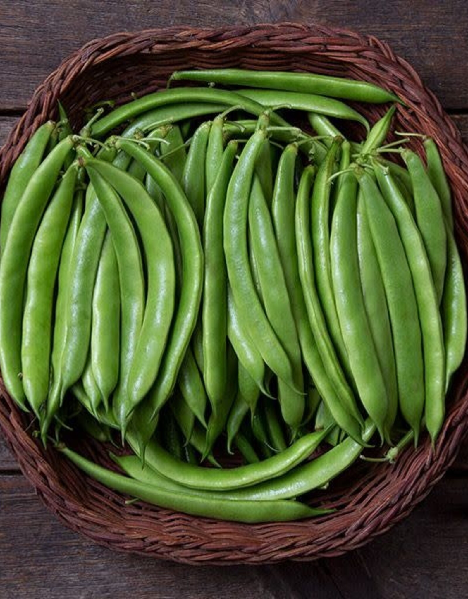 High Mowing Seed HM Forrester Romano Bush Bean  1 OZ