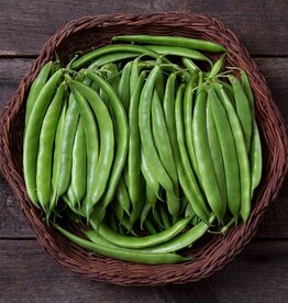High Mowing Seed HM Forrester Romano Bush Bean  1 OZ
