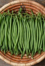 High Mowing Seed HM Compass Haricot Vert Bean  100 SEEDS