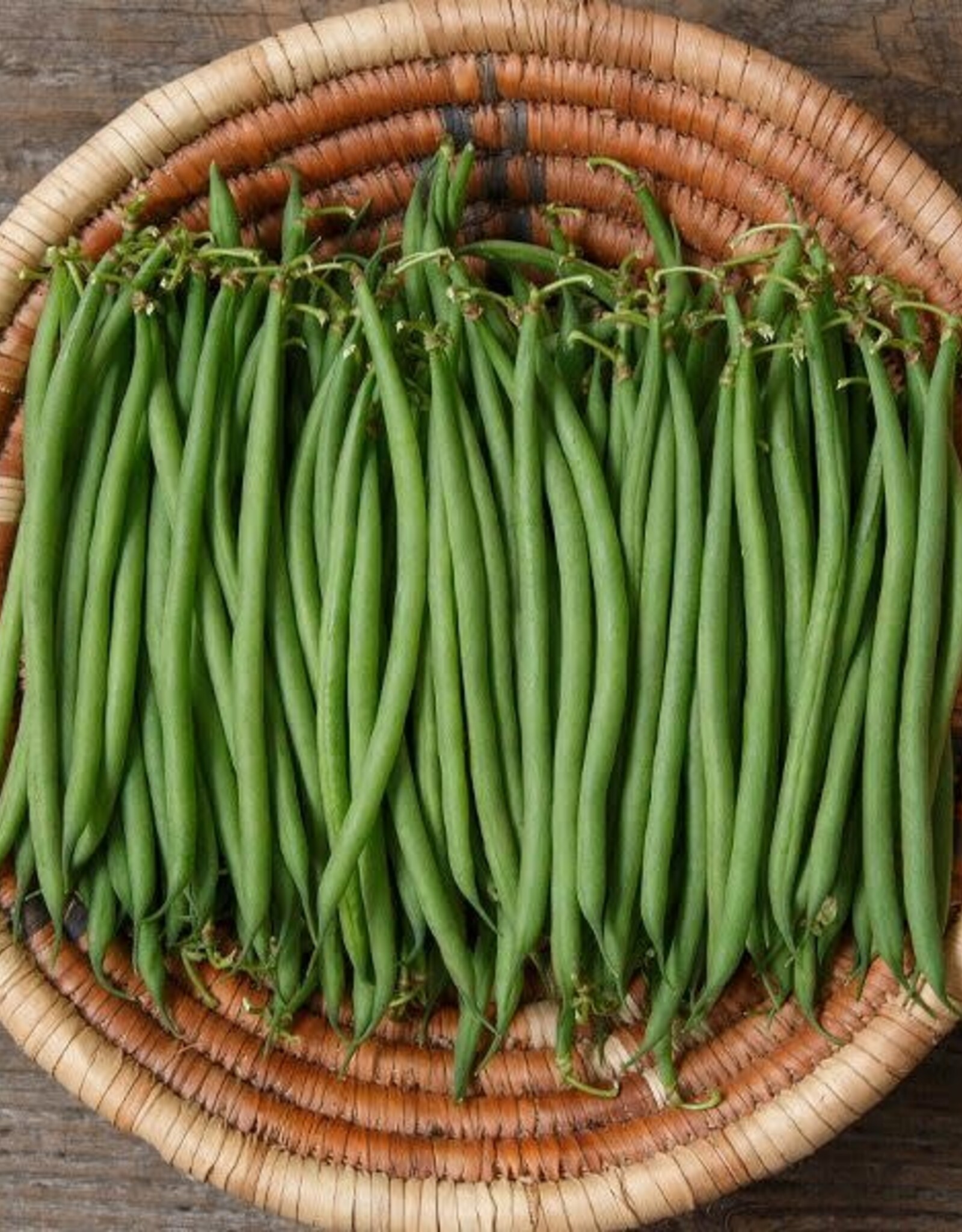 High Mowing Seed HM Compass Haricot Vert Bean  100 SEEDS
