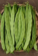 High Mowing Seed HM Northeaster Pole Bean  1 OZ