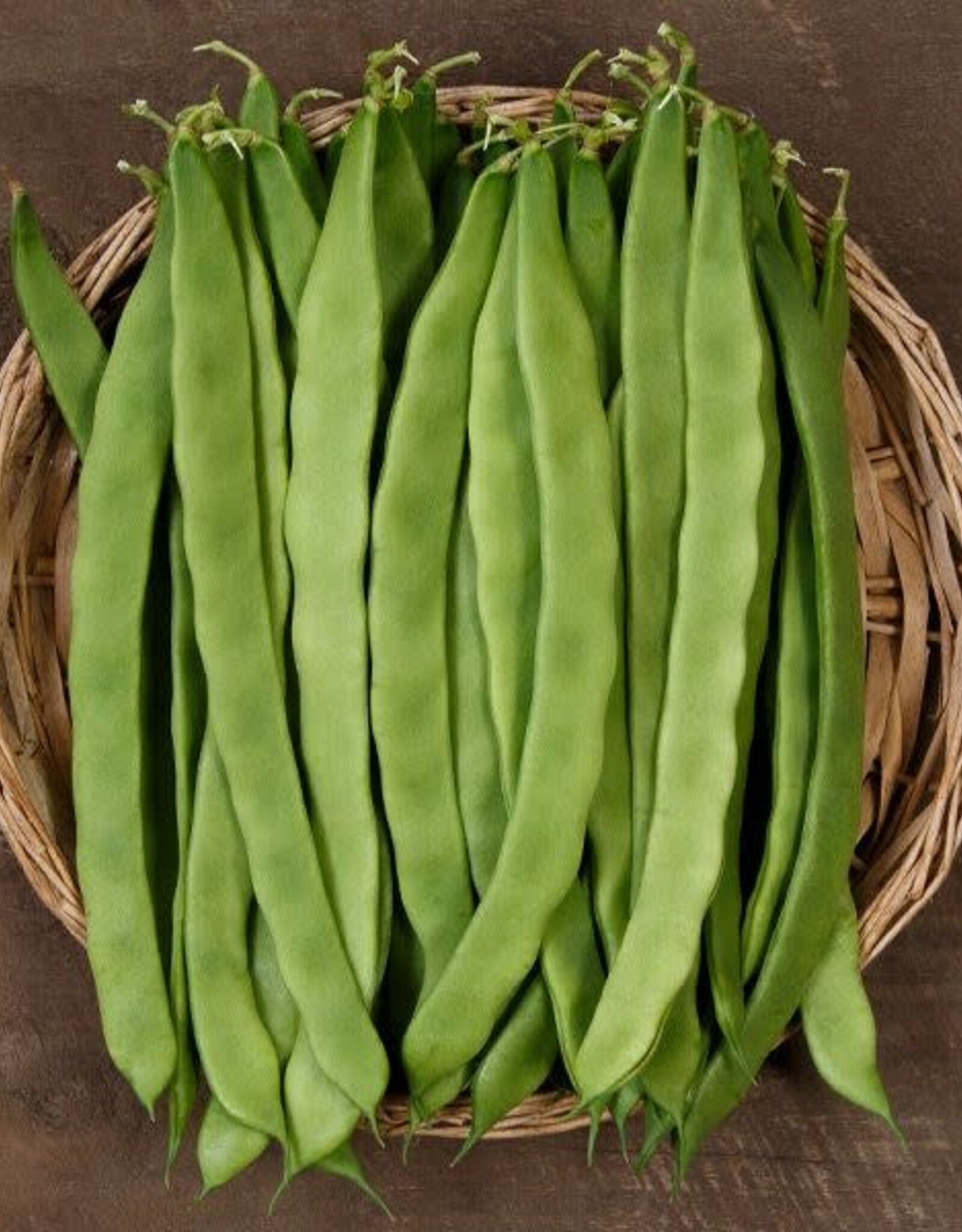 High Mowing Seed HM Northeaster Pole Bean  1 OZ