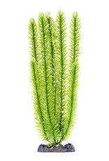 Penn-Plax Club Moss  Weighted Base 13 inch