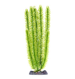 Penn-Plax Club Moss  Weighted Base 13 inch
