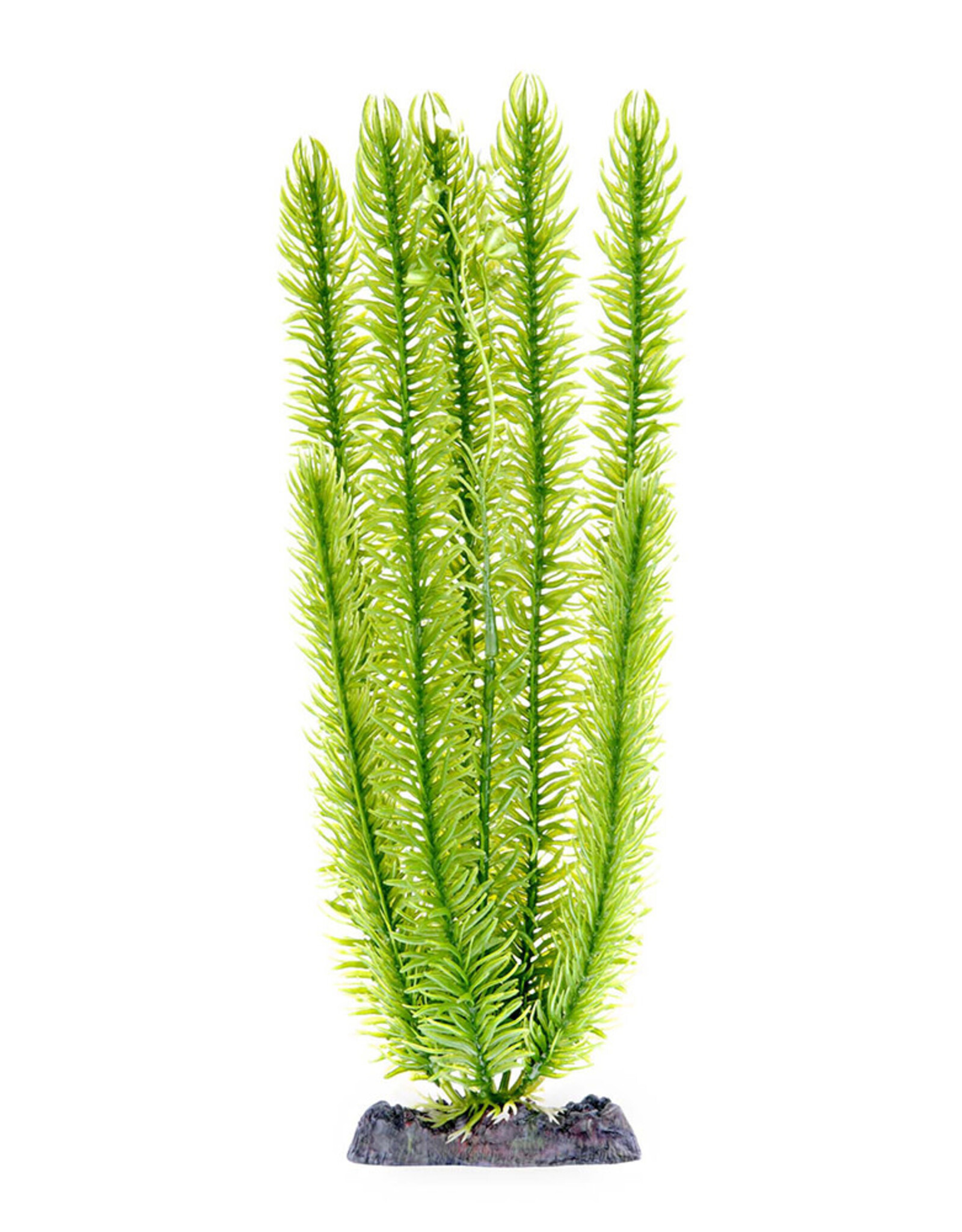 Penn-Plax Club Moss  Weighted Base 13 inch