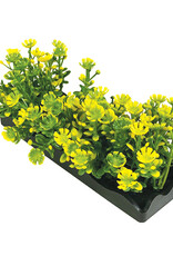 Penn-Plax Small Yellow Bunch Plant-5PC PDQ