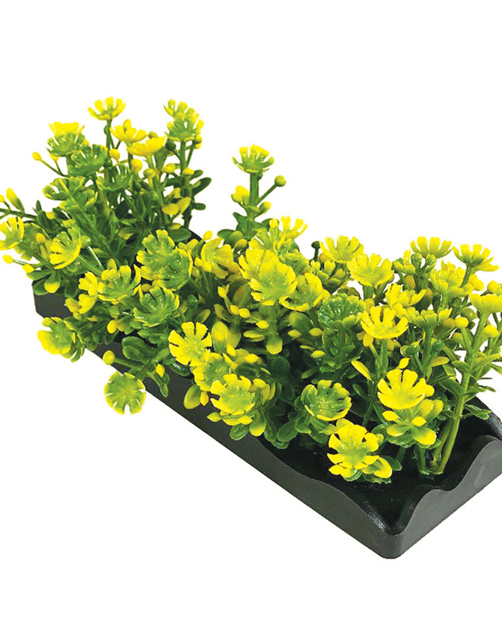Penn-Plax Small Yellow Bunch Plant-5PC PDQ