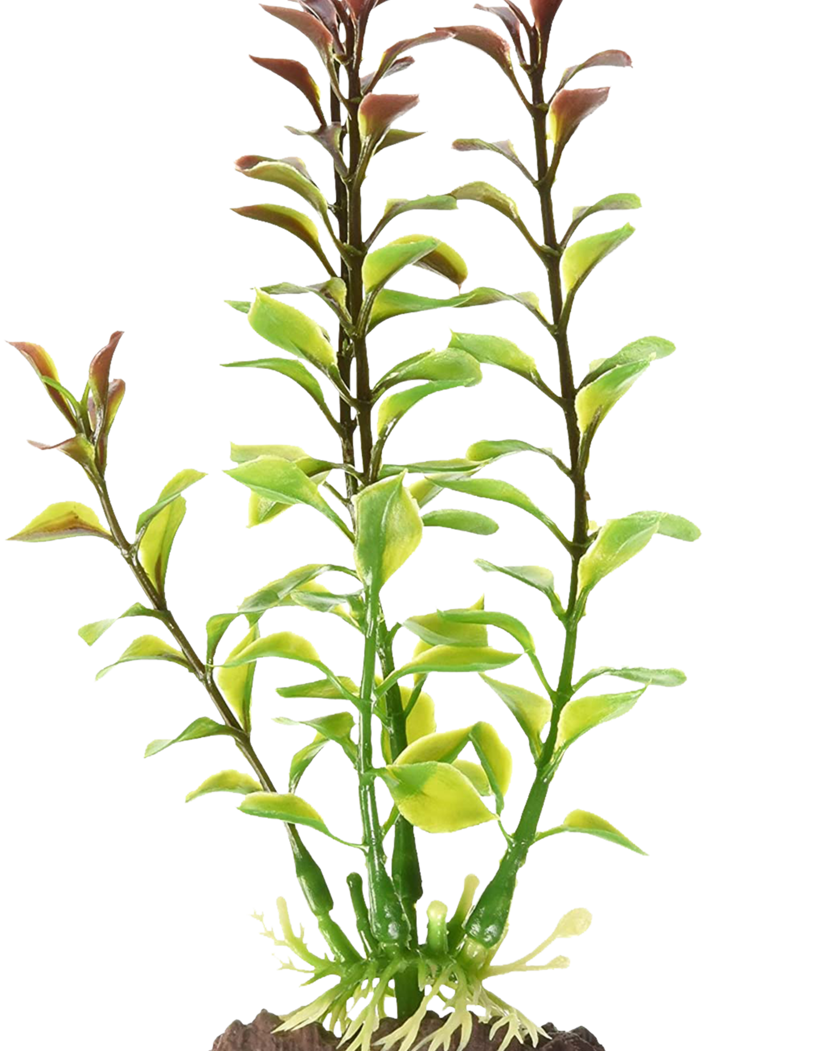 Penn-Plax LUDWIGIA - RED SM