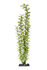 PENN-PLAX INC BLOOMING LUDWIGIA (GREEN) 18