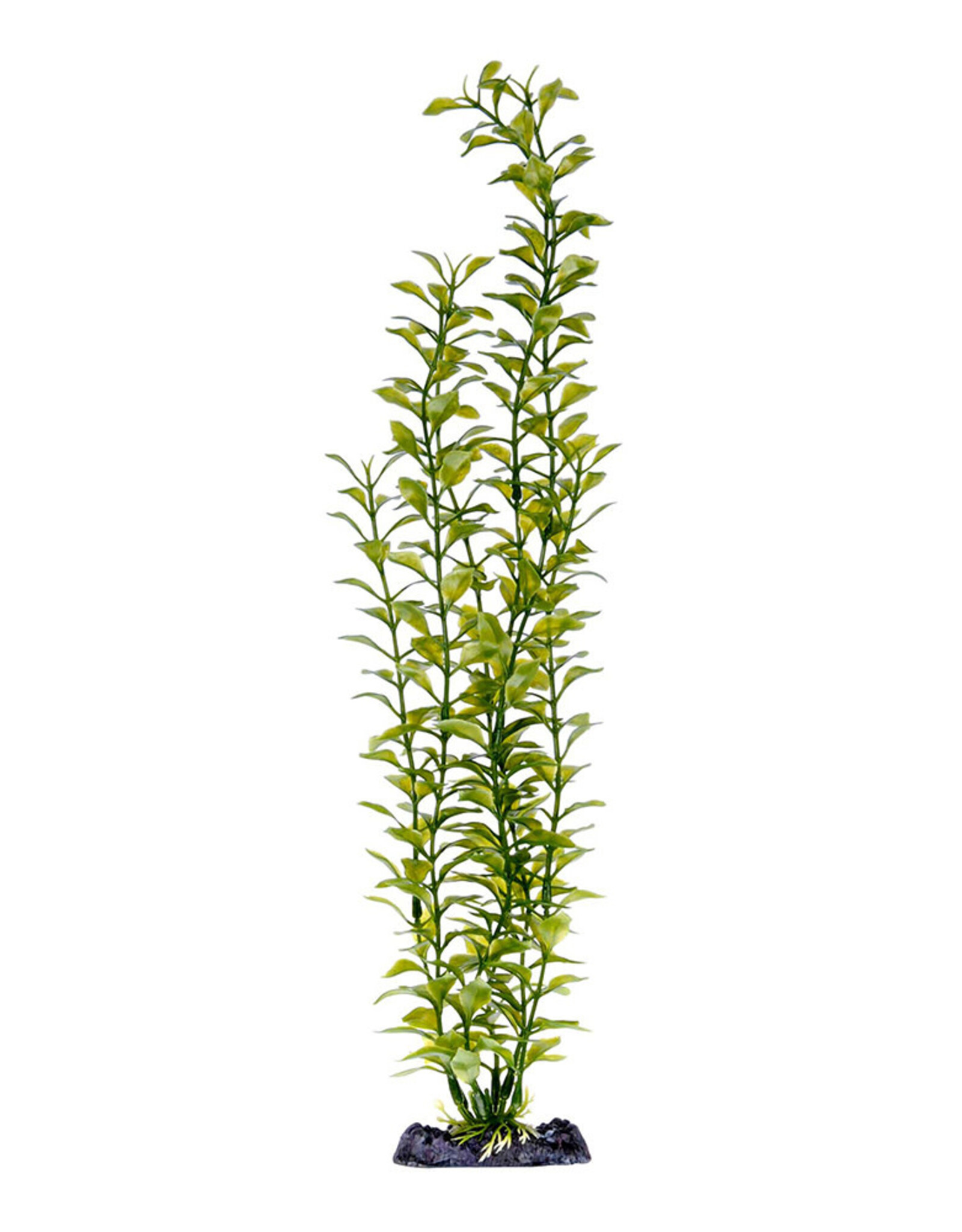 PENN-PLAX INC BLOOMING LUDWIGIA (GREEN) 18
