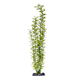 PENN-PLAX INC BLOOMING LUDWIGIA (GREEN) 18