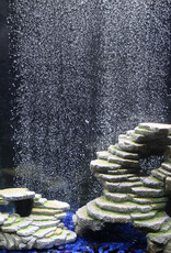 Penn-Plax SHALE SCAPES - EXTRA LARGE  10" x 9" x 11"
