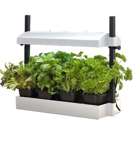 SunBlaster™ T5HO Micro Growlight Garden  - White - 21in W x 8.5in H x 5.25in Deep - 11W High Output Light - 10,000 Hours