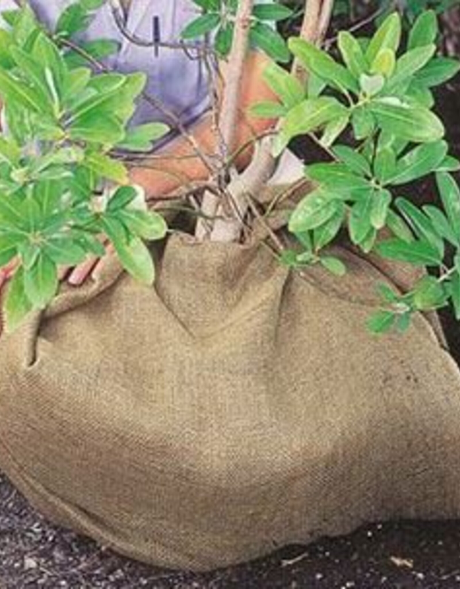 DeWitt Burlap Roll 4' x 250'
