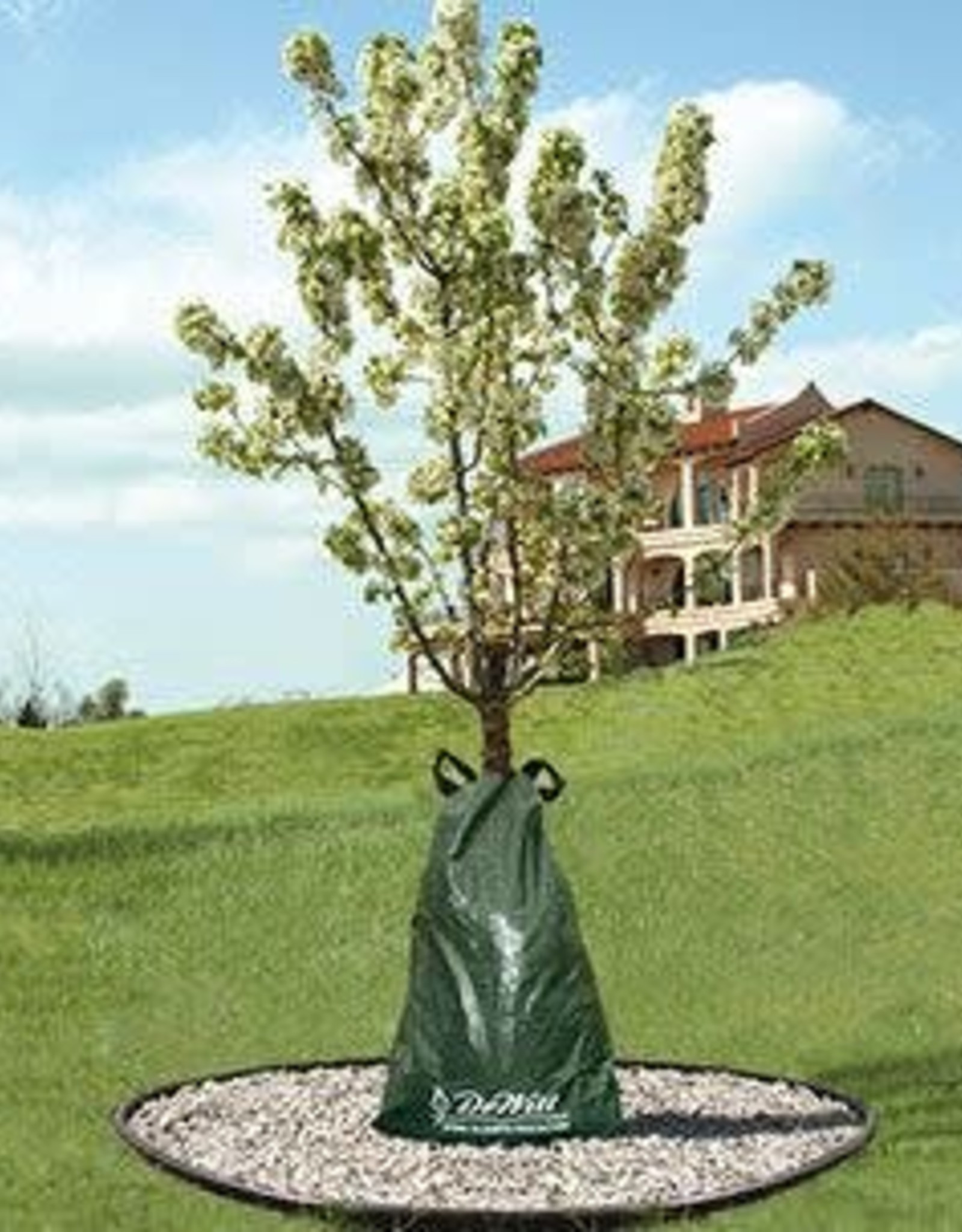 DeWitt Tree Water Bag