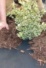 DeWitt Weed Barrier 5 Year 3x50
