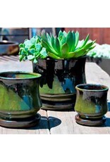 Pacific Home & Garden Verandah Lily Pots  - 5.5in Diam x 5in H - Green