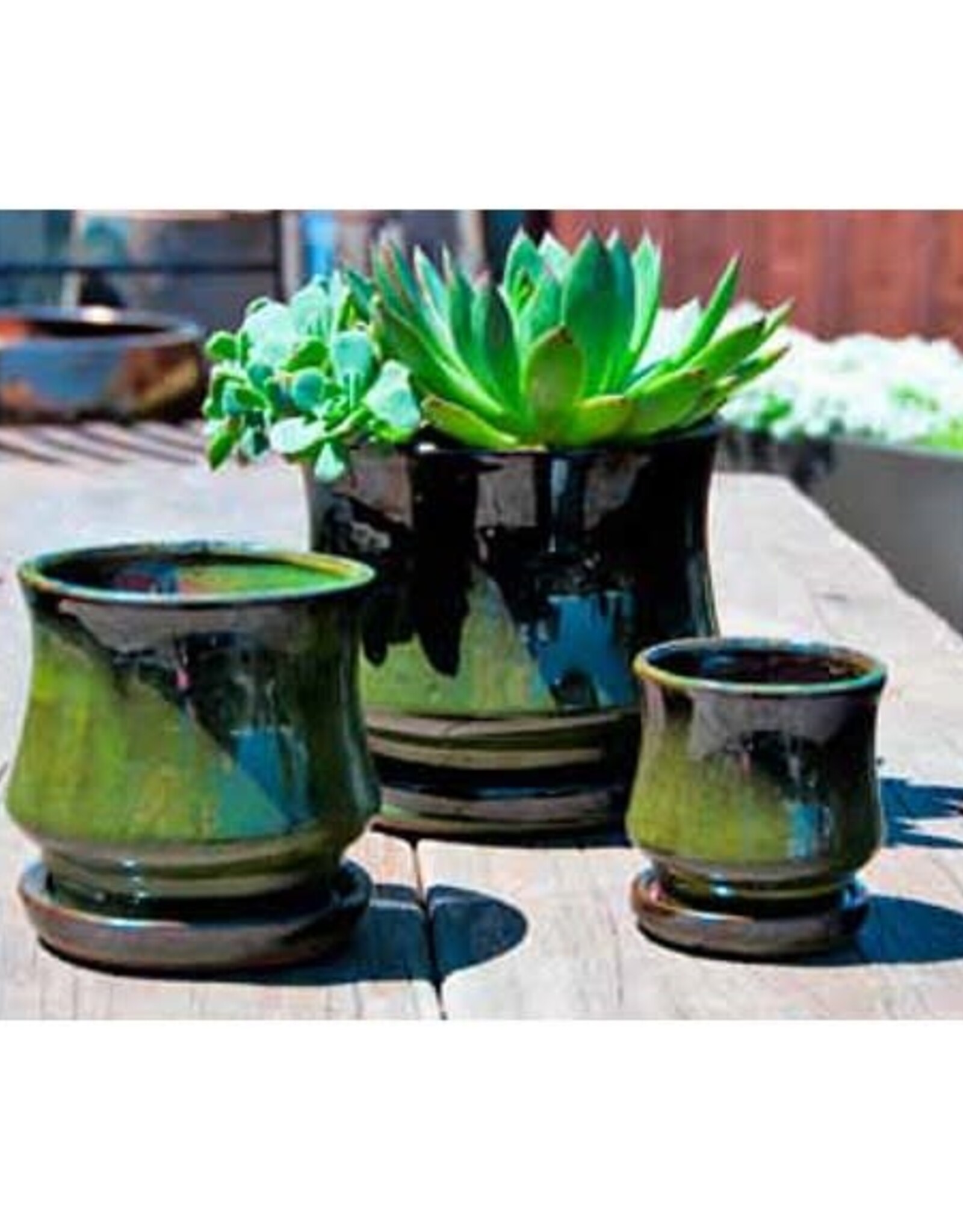 Pacific Home & Garden Verandah Lily Pots  - 5.5in Diam x 5in H - Green
