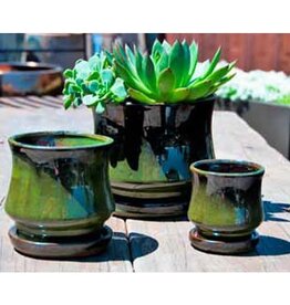 Pacific Home & Garden Verandah Lily Pots  - 5.5in Diam x 5in H - Green