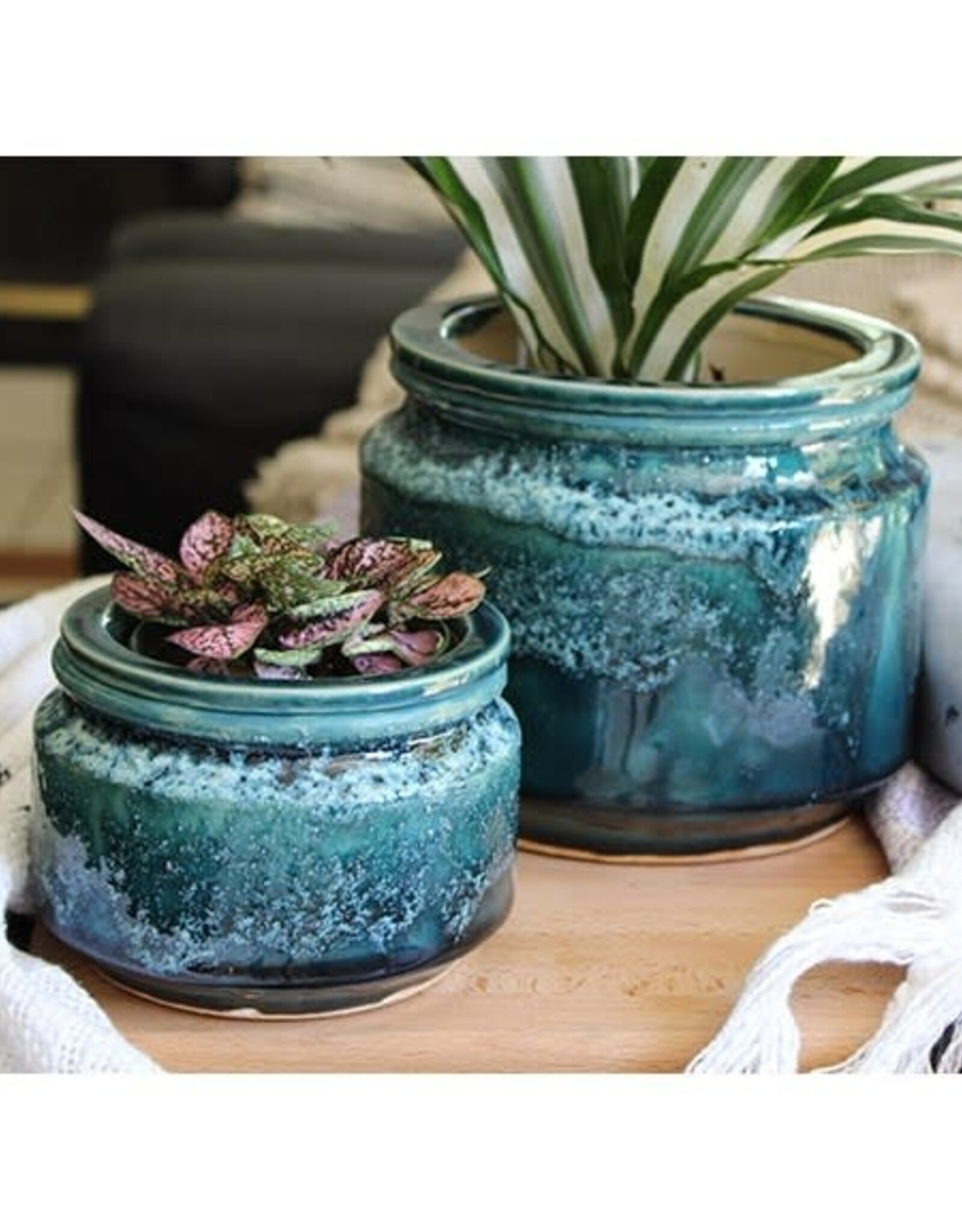 Pacific Home & Garden Jewel Pots  - 4.5in - Teal
