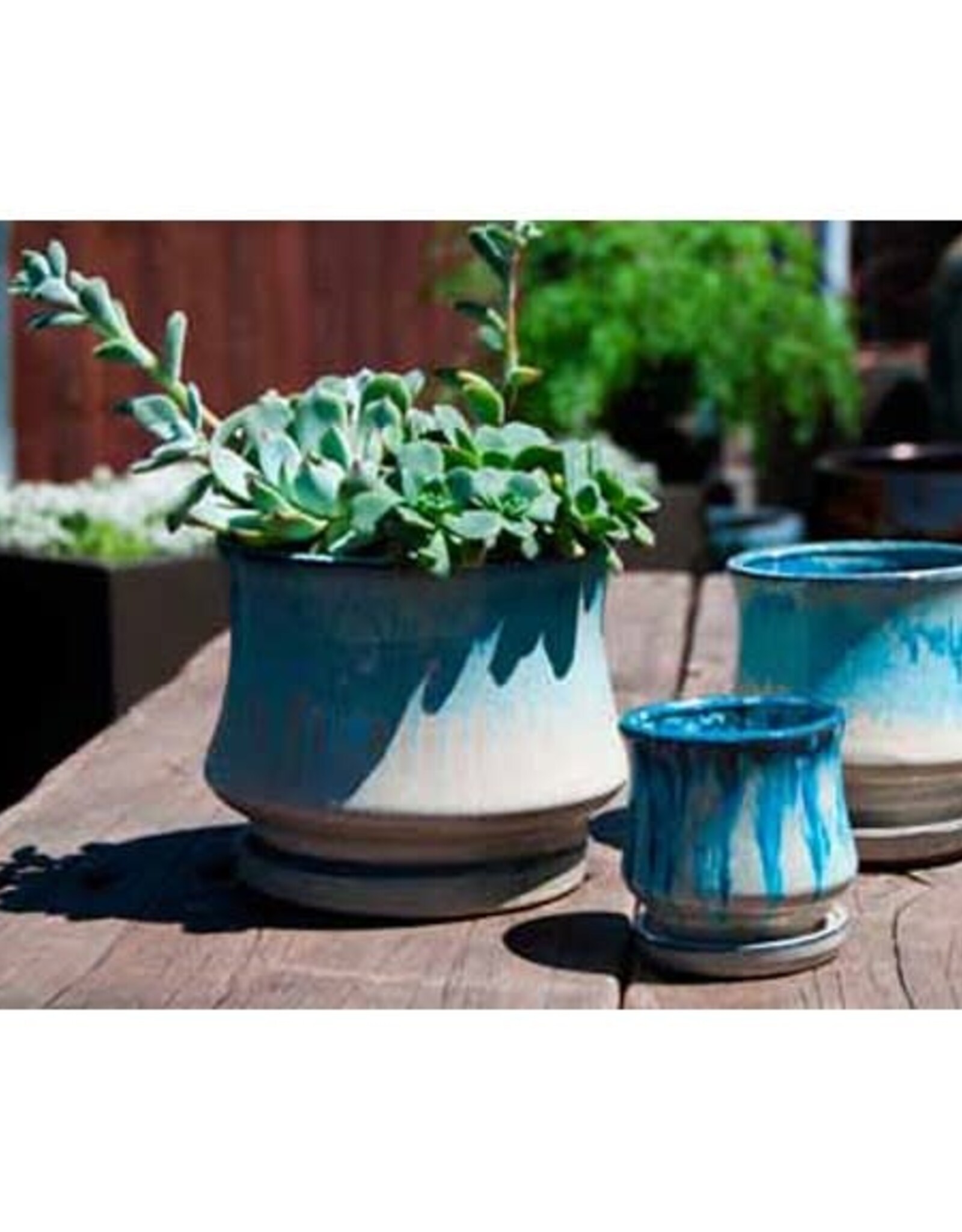 Pacific Home & Garden Verandah Lily Pots  - 5.5in Diam x 5in H - White & Blue