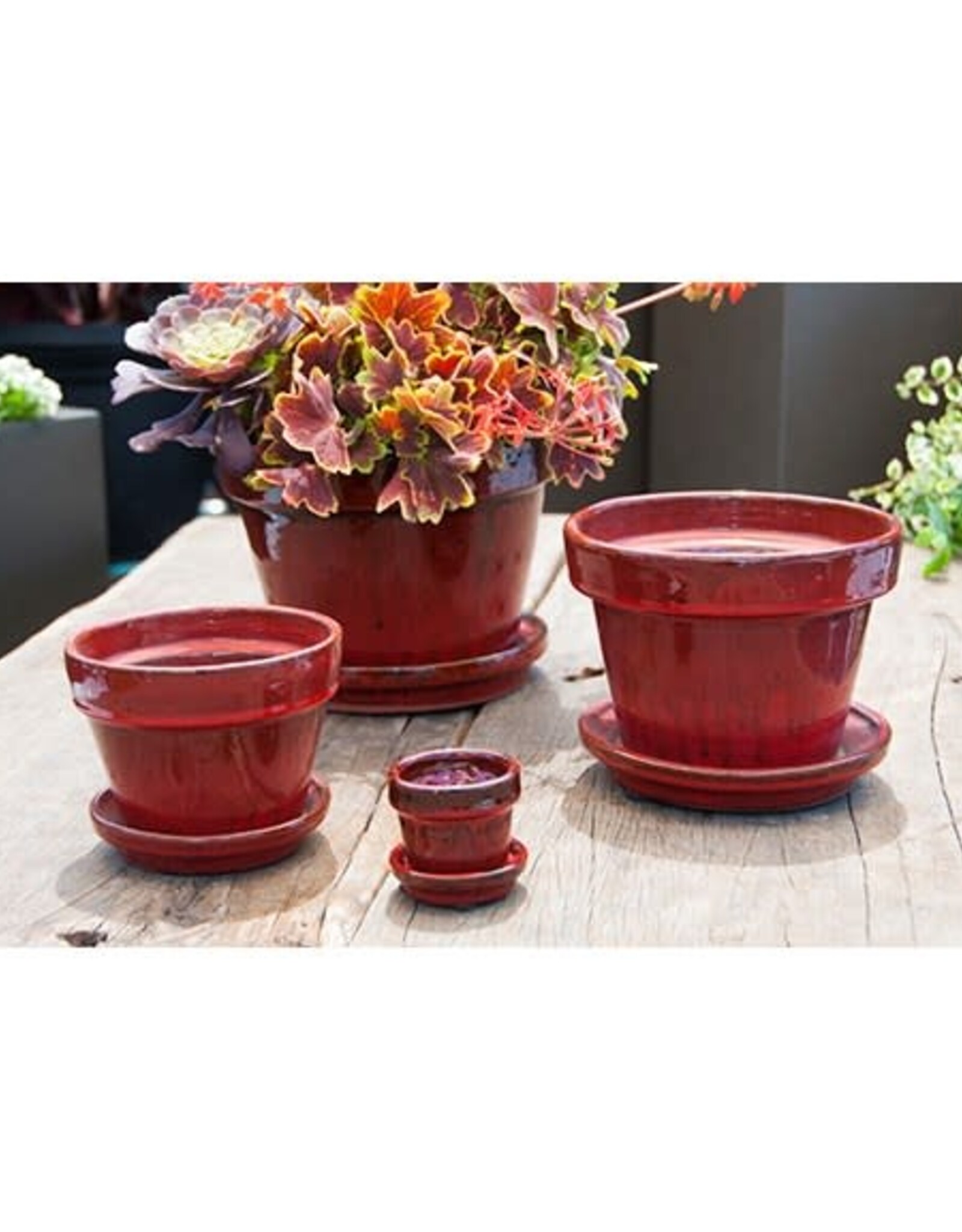 Pacific Home & Garden Verandah Standard Table Top Planters  - 2.5in Diam x 2.5in H - Red