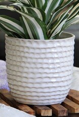 Pacific Home & Garden Palm Springs Honeycomb Pots  - 6.5in - White